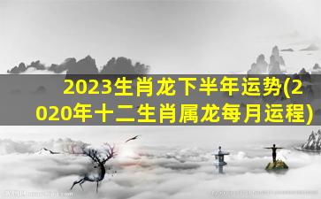 2023生肖龙下半年运势(
