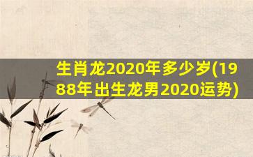 生肖龙2020年多少岁(198