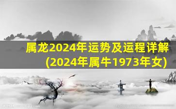 属龙2024年运势及运程详解(2024年属牛1973年女)
