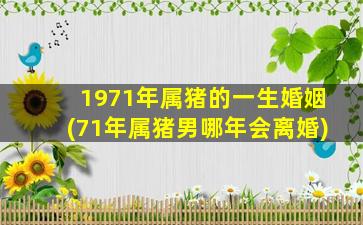 <strong>1971年属猪的一生婚姻(71年</strong>