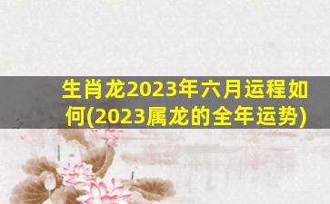 生肖龙2023年六月运程如何(2023属龙的全年运势)