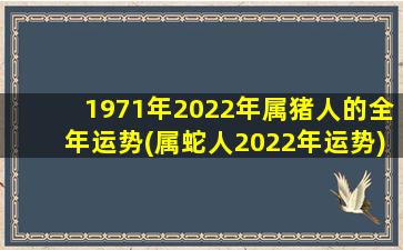 1971年2022年属猪人的全年运势(属蛇人2022年运势)