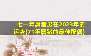 <strong>七一年属猪男在2023年的</strong>