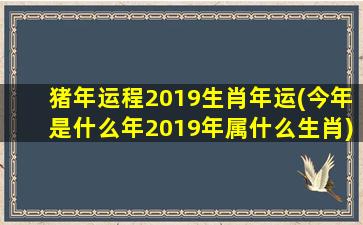 <strong>猪年运程2019生肖年运(今</strong>