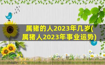 属猪的人2023年几岁(属猪人2023年事业运势)