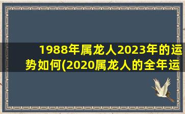 1988年属龙人2023年的运势如何(2020属龙人的全年运势)