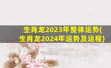 生肖龙2023年整体运势(生肖龙2024年运势及运程)