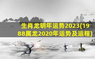 生肖龙明年运势2023(1988属