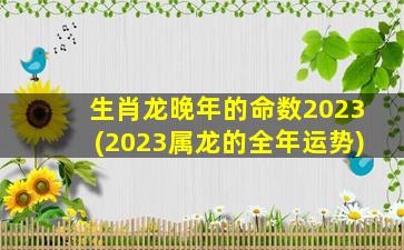 生肖龙晚年的命数2023(2023属龙的全年运势)