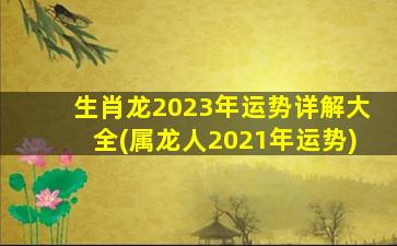 生肖龙2023年运势详解大全(属龙人2021年运势)