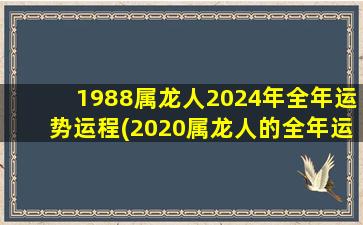 1988属龙人2024年全年运势