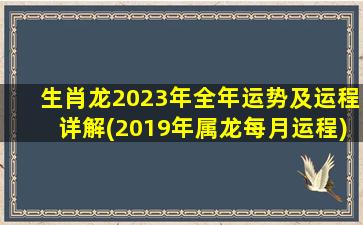 生肖龙2023年全年运势及运程详解(2019年属龙每月运程)