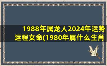 1988年属龙人2024年运势运
