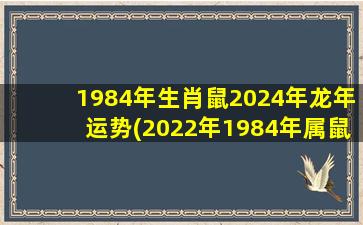 1984年生肖鼠2024年龙年运势(2022年1984年属鼠人的全年运势)