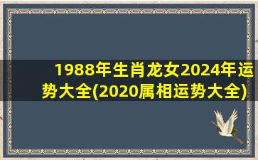 1988年生肖龙女2024年运势