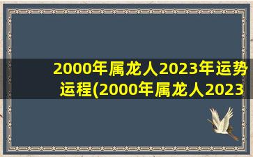 2000年属龙人2023年运势运