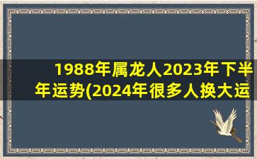 1988年属龙人2023年下半年运