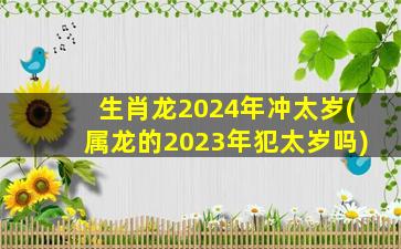 生肖龙2024年冲太岁(属龙的
