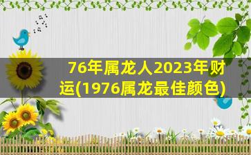 76年属龙人2023年财运(197