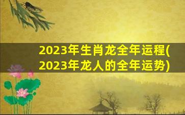 2023年生肖龙全年运程(20