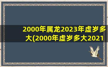 2000年属龙2023年虚岁多大