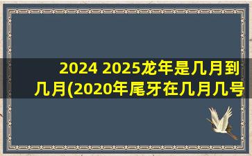 2024 2025龙年是几月到几月