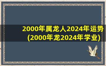 2000年属龙人2024年运势(2000年龙2024年学业)