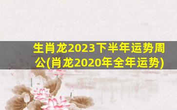 生肖龙2023下半年运势周