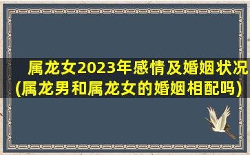 <strong>属龙女2023年感情及婚姻状</strong>