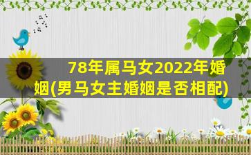 78年属马女2022年婚姻(男马