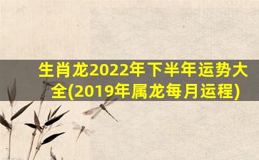 生肖龙2022年下半年运势大全(2019年属龙每月运程)