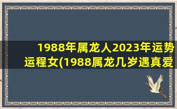 1988年属龙人2023年运势运