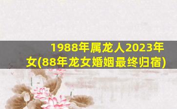 1988年属龙人2023年女(88年