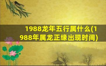 <strong>1988龙年五行属什么(198</strong>