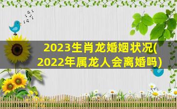 2023生肖龙婚姻状况(2022年属龙人会离婚吗)