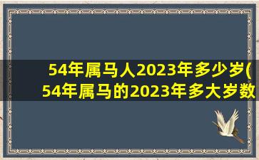 54年属马人2023年多少岁(