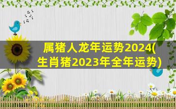 属猪人龙年运势2024(生肖猪