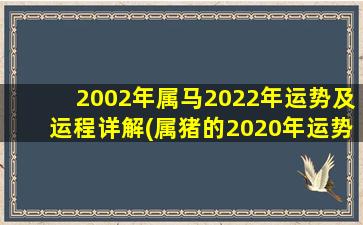 2002年属马2022年运势及运程详解(属猪的2020年运势怎么样)
