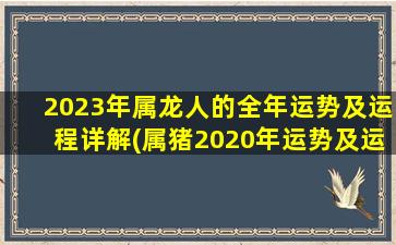<strong>2023年属龙人的全年运势</strong>