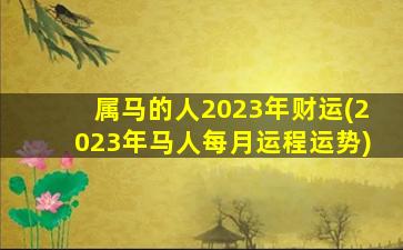 属马的人2023年财运(2023年