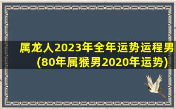属龙人2023年全年运势运程男(80年属猴男2020年运势)