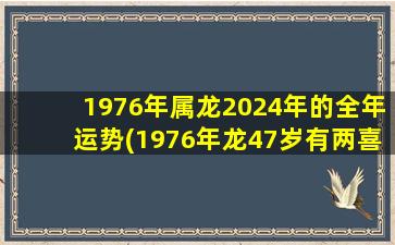 1976年属龙2024年的全年运势(1976年龙47岁有两喜)