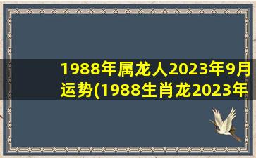 1988年属龙人2023年9月运势
