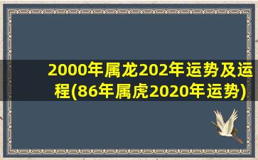 2000年属龙202年运势及运程