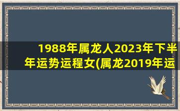 <strong>1988年属龙人2023年下半年</strong>