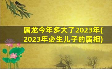 属龙今年多大了2023年(20