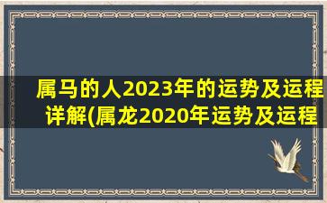 属马的人2023年的运势及运程详解(属龙2020年运势及运程)