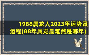 1988属龙人2023年运势及运程