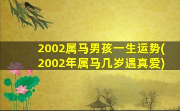 2002属马男孩一生运势(20