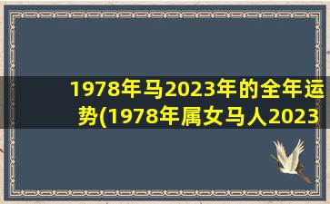 1978年马2023年的全年运势(1978年属女马人2023年的运势)